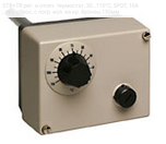 STB+TR рег. и отсеч. термостат, 30…110°C, SPDT, 10A, руч. сброс, с погр. кол. из кр. бронзы,150мм