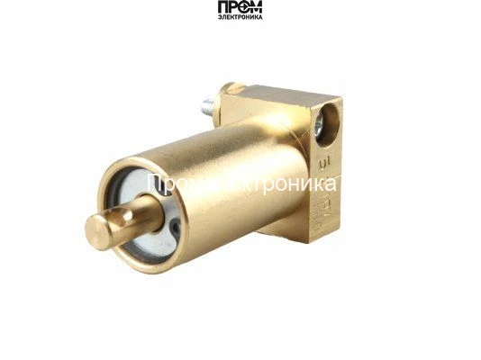 Гидравлический поршень Riello 3020500