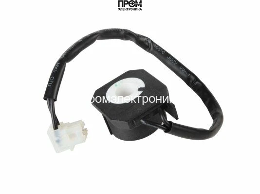 Электромагнитная катушка Riello 3007481