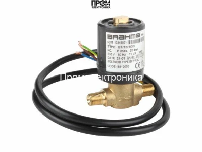 Жидкотопливный электромагнитный клапан Brahma E7/TS*A3C 13245501