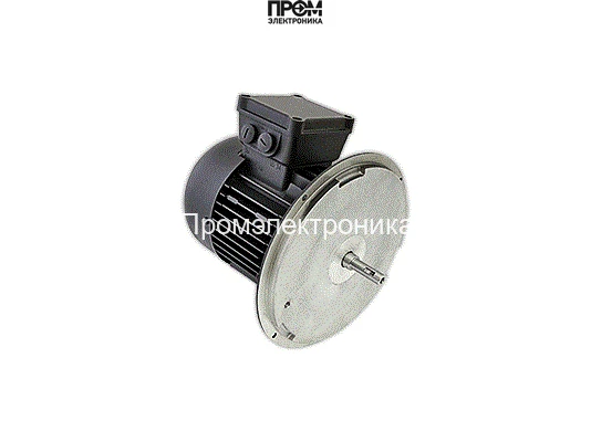 Электродвигатель Weishaupt W-D90/110-2/1K5