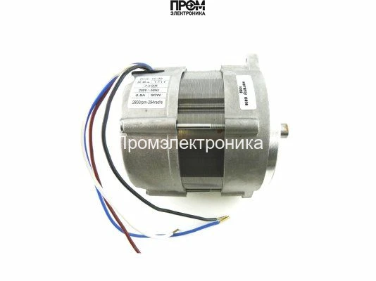 Электродвигатель RHE 250 Вт (606SE)