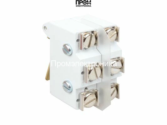 Микровыключатель двойной 40T85 50E3