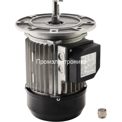 Электродвигатель Riello 3003966