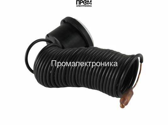 Термометр Riello 4R103822