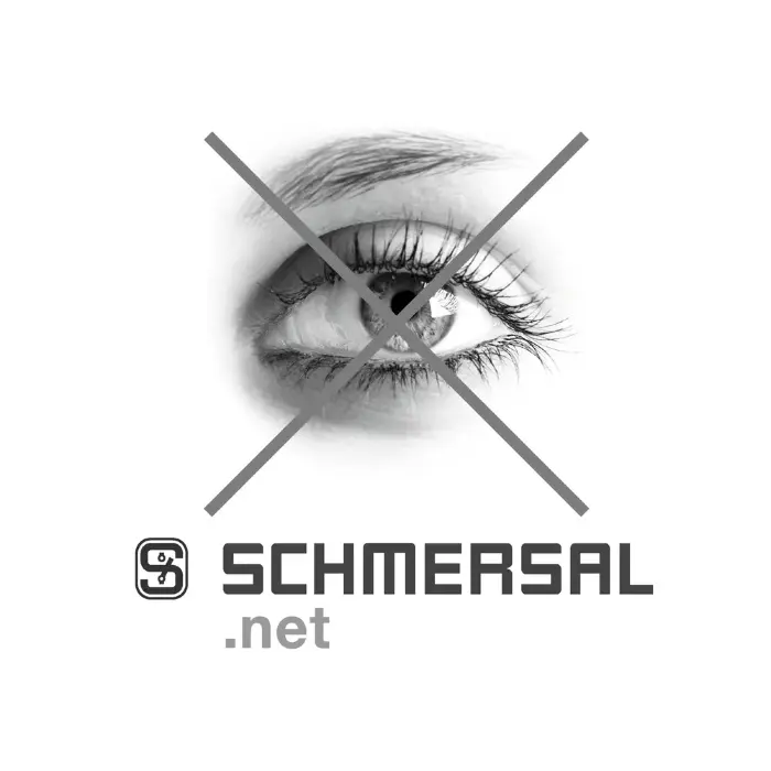 Концевые выключатели безопасности Schmersal T4VH336-11Z-ST