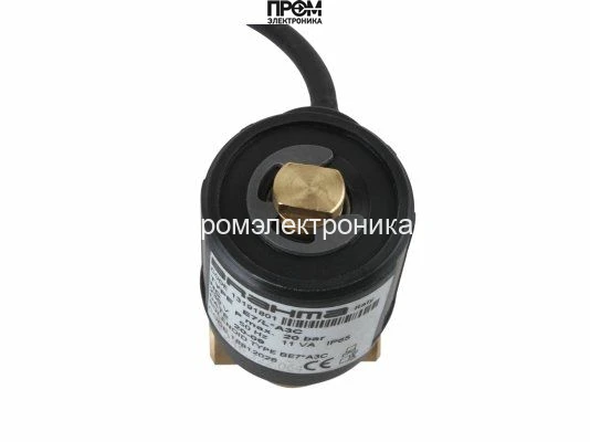 Жидкотопливный электромагнитный клапан Brahma E7/L*A3C 13191801