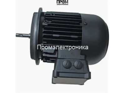 Электродвигатель Weishaupt W-D132/210-2/10K0