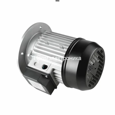 Электродвигатель Riello 3014206R
