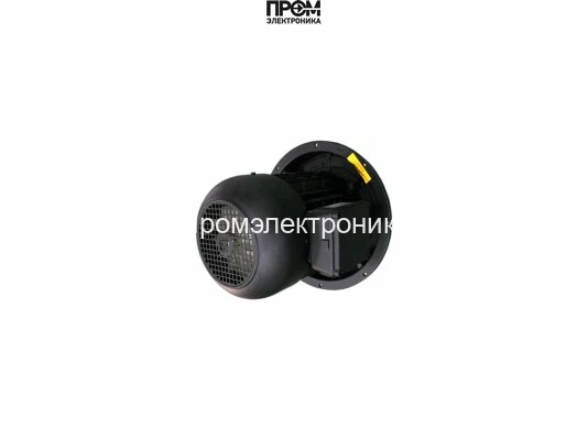 Электродвигатель Weishaupt WM-D132/210-2/14K0