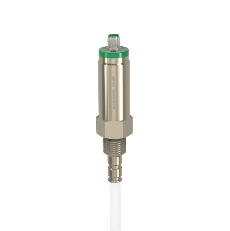 Емкостные сигнализаторы уровня СЕНСОР ДКЕ-С750-300Р-3113-СА